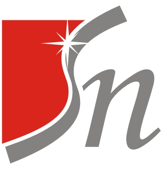 SN-Software Services
